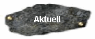  Aktuell 